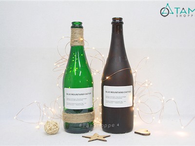 Chai rượu vang thuỷ tinh Handmade phễu ngược G-CTT-03